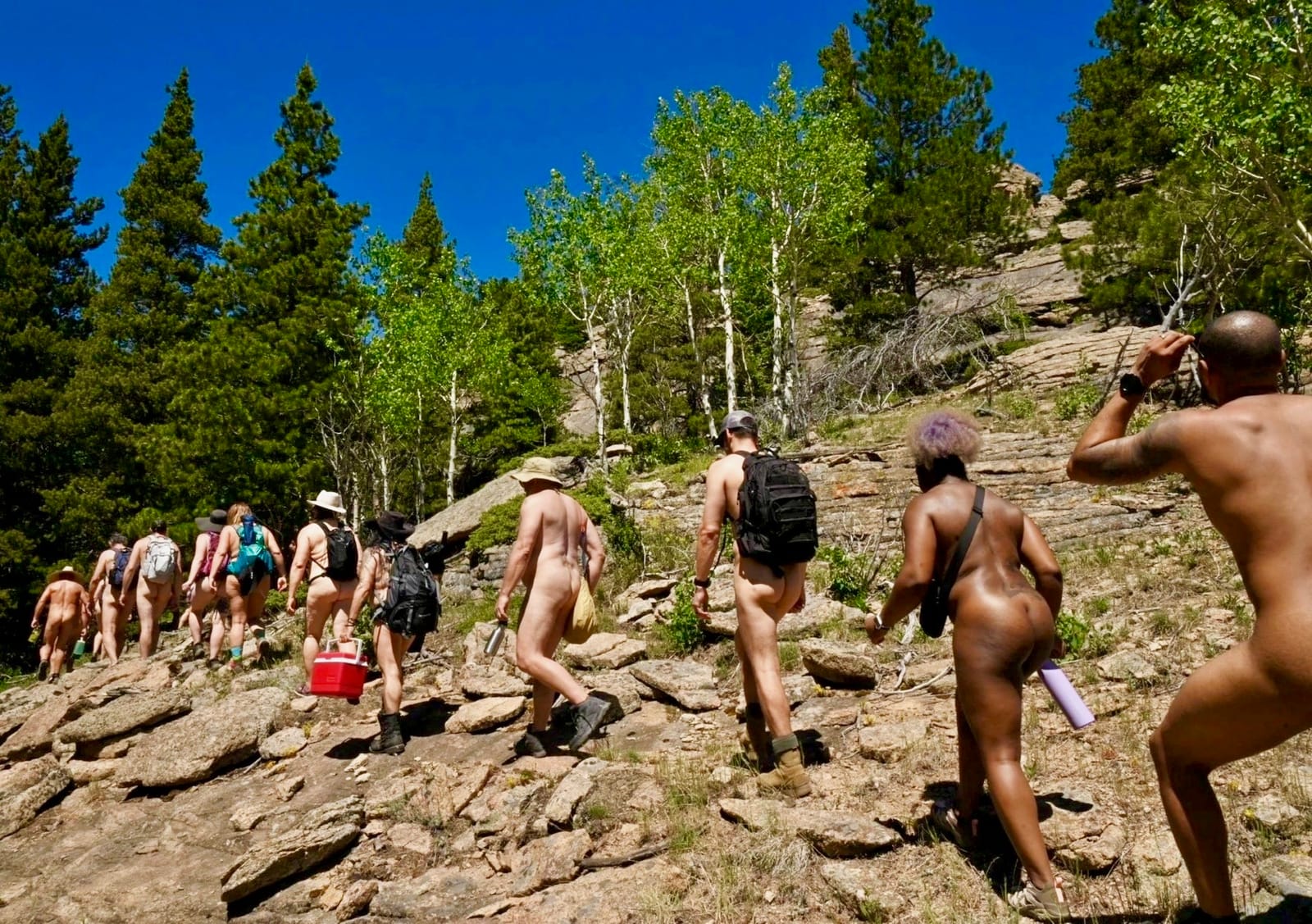 We Celebrate Diversity